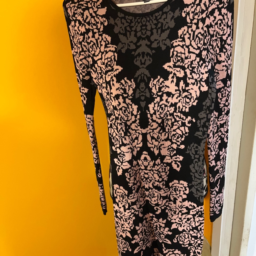Felicity and Coco Dress